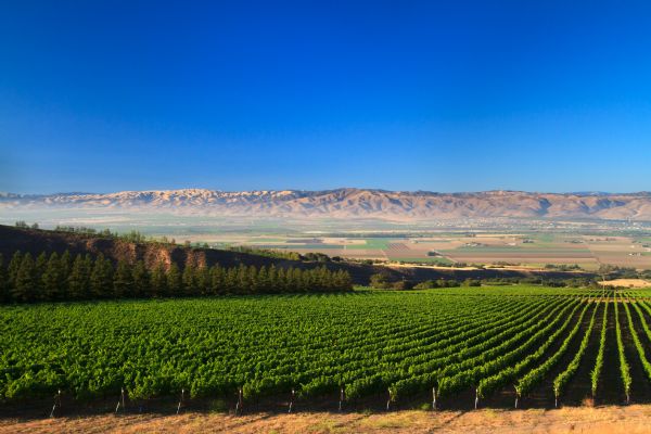 Hahn vineyard view across the Salinas Valley